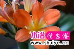 Ƭ 089_.jpg