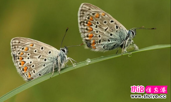 QQͼ20120425114907.png