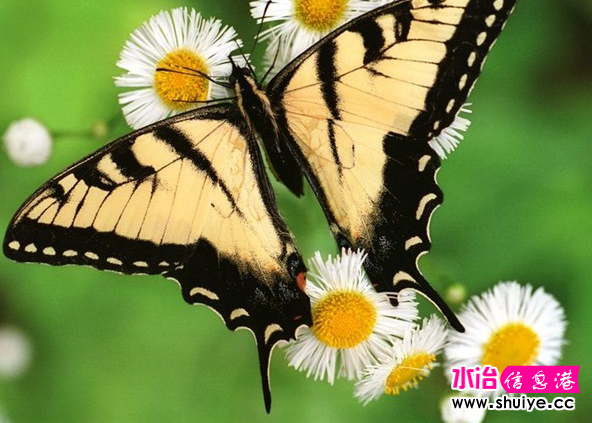 QQͼ20120425114919.png