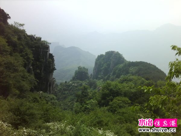 IMG_20120520_102510.jpg