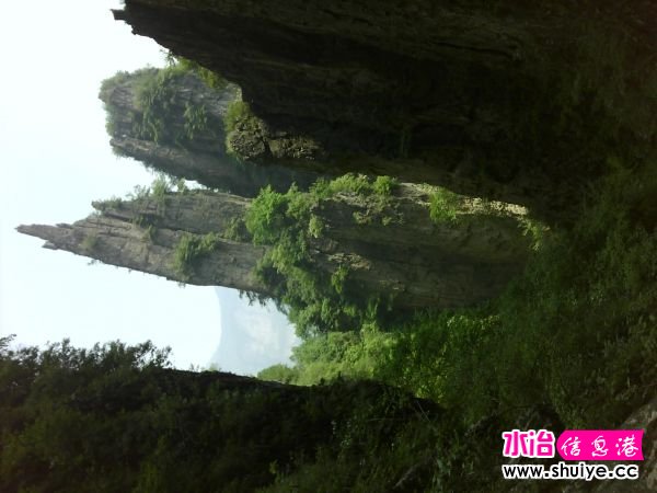 IMG_20120520_111814.jpg