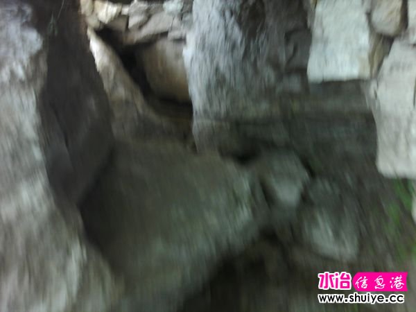 IMG_20120520_113109.jpg