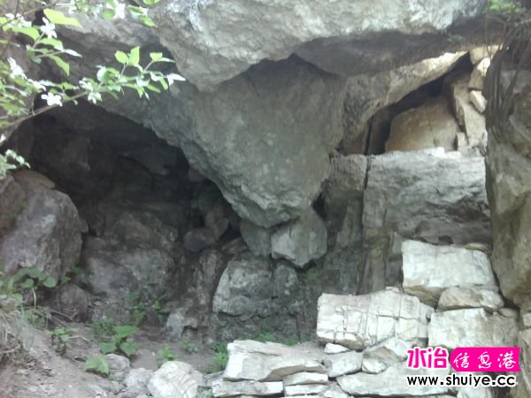 IMG_20120520_113126.jpg