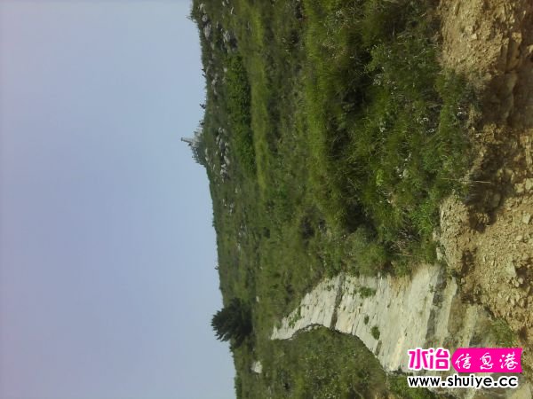 IMG_20120520_113632.jpg