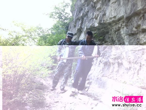 IMG_20120520_125920.jpg