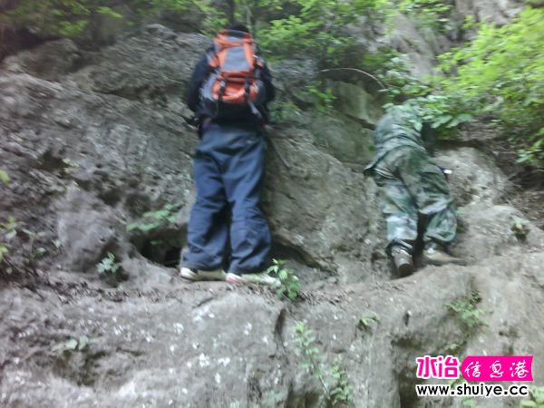 IMG_20120520_125139.jpg