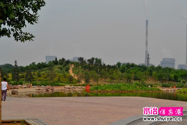 DSC_0626_.jpg