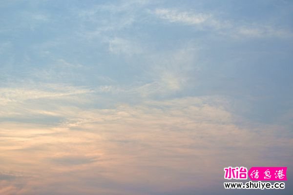 DSC_0917__.jpg
