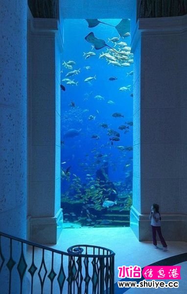 ���ϰݵĺ������硿