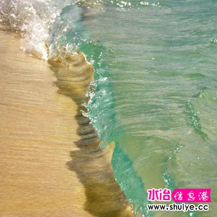 ˮ����ĺ��ˣ����ൺ������