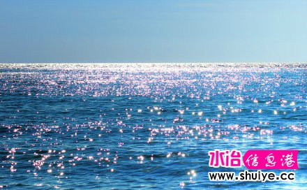 ���������ڰ��ٺ�