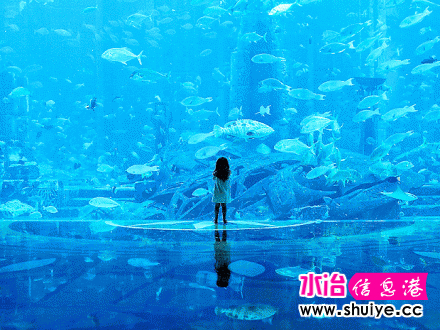 һ����Ҫȥ�ĵط�������������ˮ��ݣ�͸����������һ����������