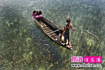 ������������С��Sem****aһȺ���۵ĺ��ӣ�����������ε�