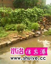 IMG0600A.jpg