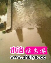 IMG0603A.jpg