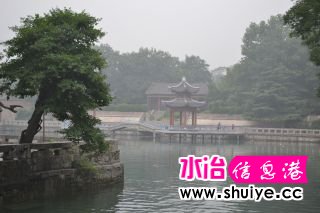 DSC_1368_01.JPG