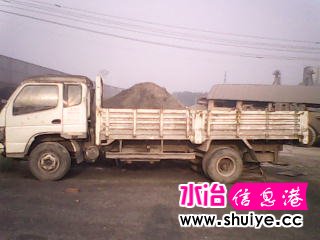 IMG_0299.JPG