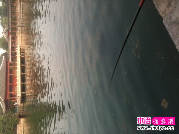 IMG_0883.JPG