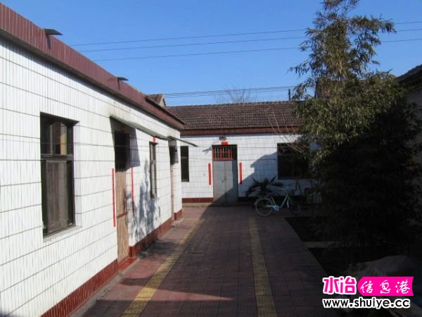 05.jpg