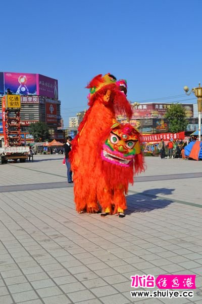 DSC_2356_.jpg