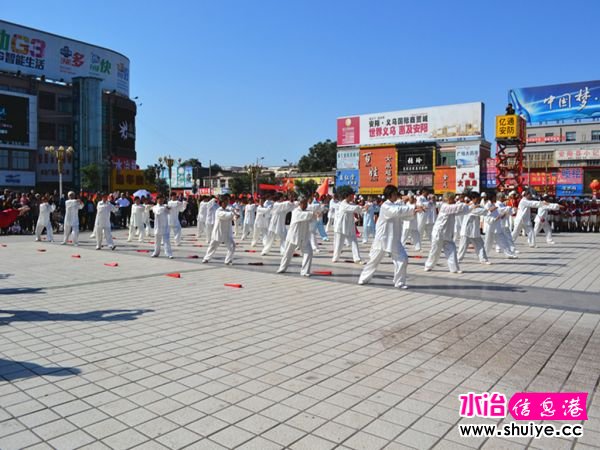 DSC_2405_.jpg