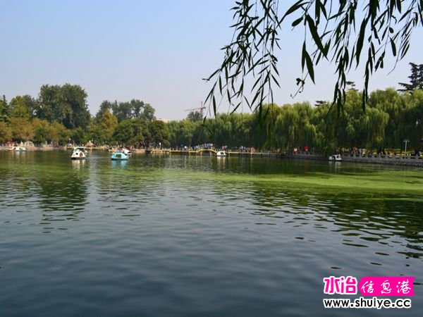 DSC_2605_.jpg