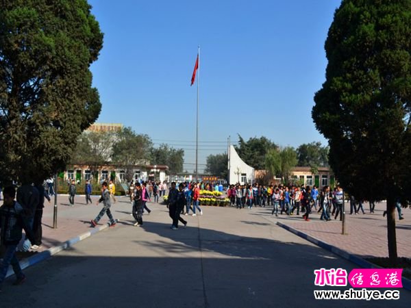 DSC_2738_.jpg