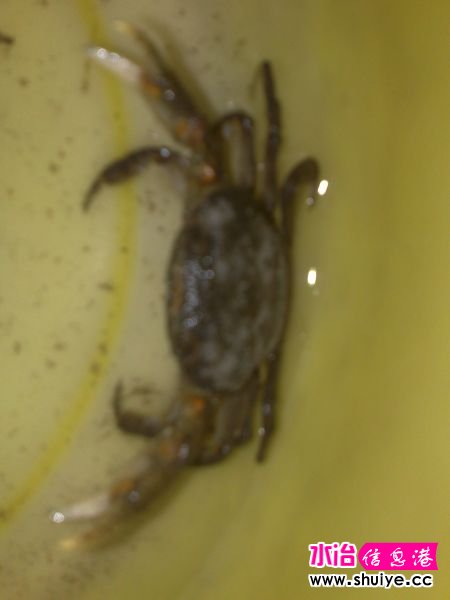 20121028658.jpg