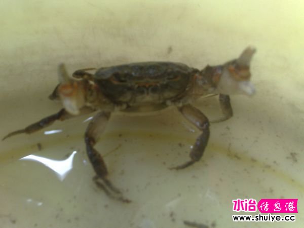 20121028656.jpg