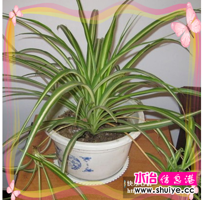 QQͼ20121028155636.png