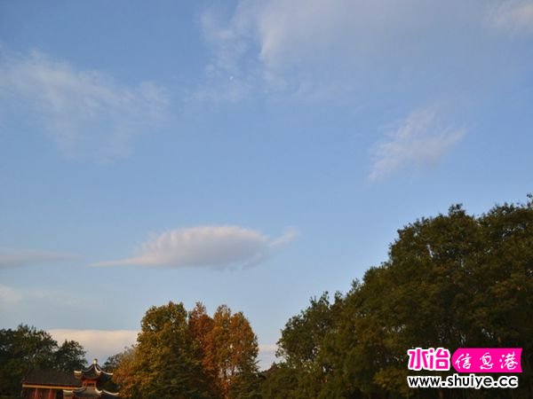 DSC_2836__.jpg