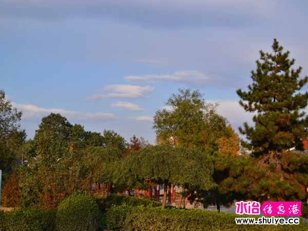 DSC_2851_.jpg