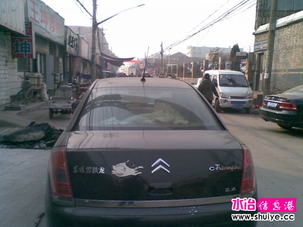 20121107_003.jpg