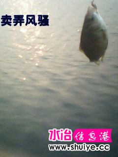 DSC_0000100.jpg
