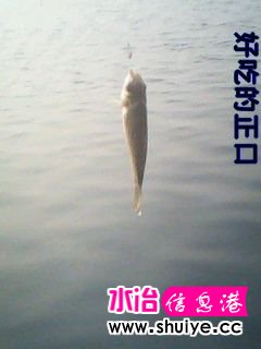 DSC_0000098.jpg