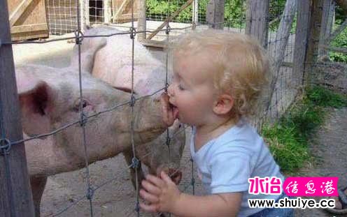 ��һ����