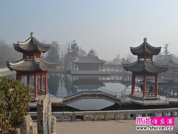 DSC_2972_.jpg