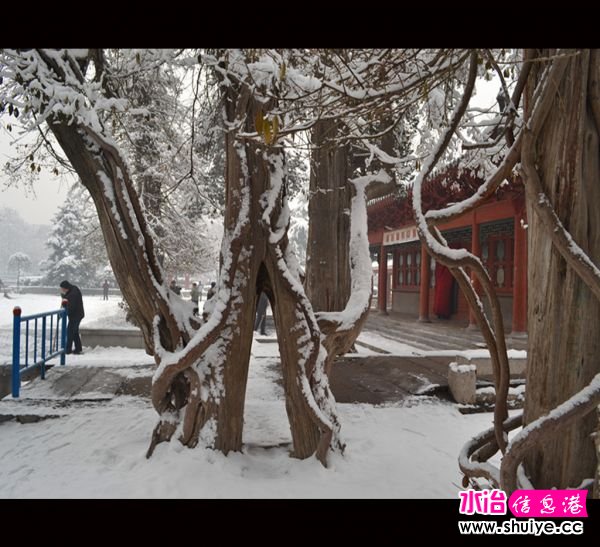 DSC_2895__.jpg