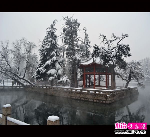DSC_2905__.jpg