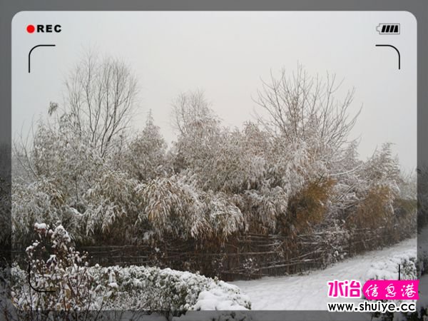 DSC_2956__.jpg
