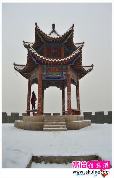 DSC_2983__.jpg
