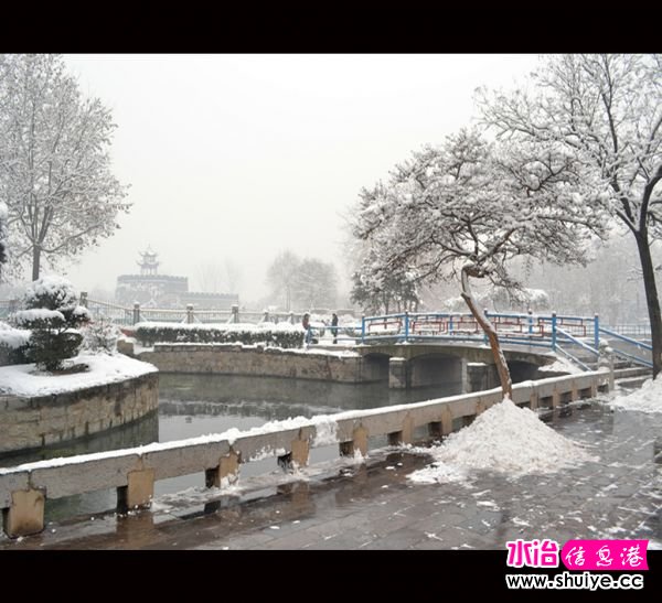 DSC_2996__.jpg