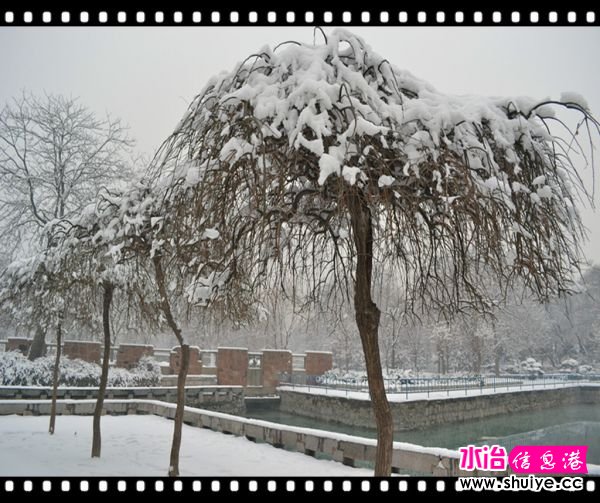 DSC_3013__.jpg