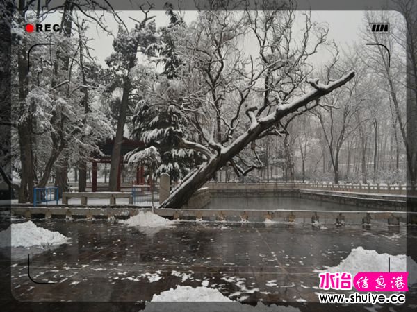 DSC_3029__.jpg