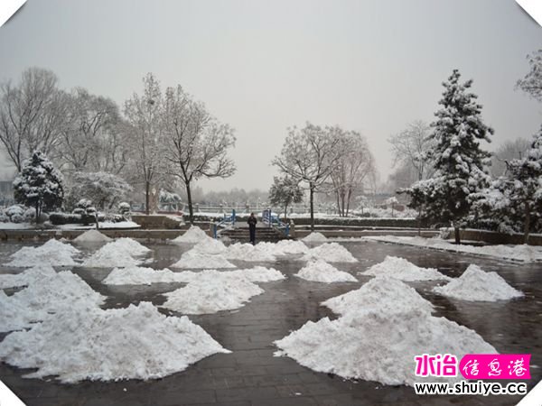 DSC_3063__.jpg