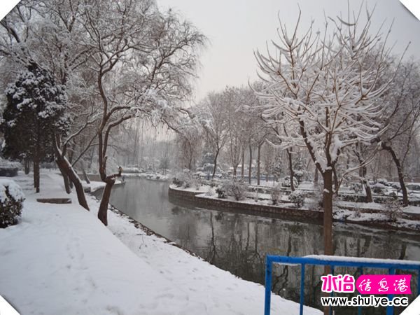 DSC_3108__.jpg