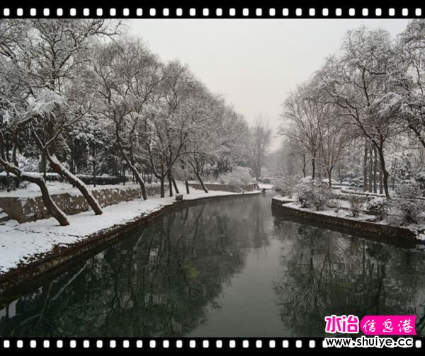 DSC_3117__.jpg