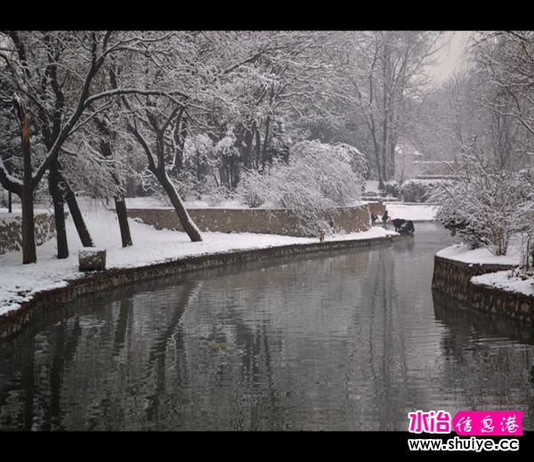 DSC_3123__.jpg