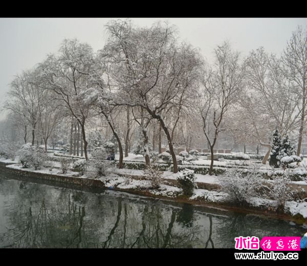 DSC_3127__.jpg