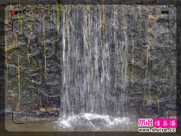 DSC_3164__.jpg